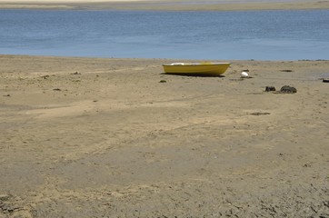 Fototapeta na wymiar Small yellow boat in Aveiro lagoon, Portugal.