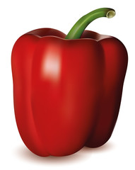 Peperone vettoriale rosso, fresco e realistico con riflesso in primo piano