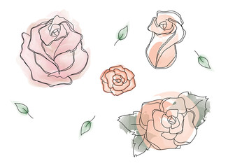 Set of hand drawn vector roses