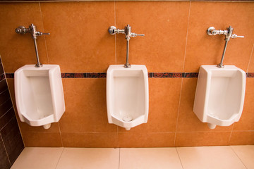Men chamber pot automatic flush