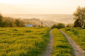 Road through dandelions field to a small Polish village shortly