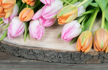 Colorlul tulips border on wood.
Springtime concept.