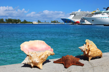 Obraz na płótnie Canvas seashells and starfish, cruise ships in the background