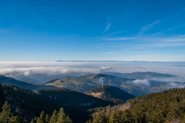 Obraz premium Shauinsland Freiburg