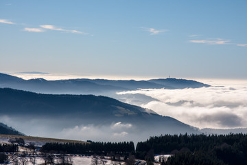 Shauinsland Freiburg