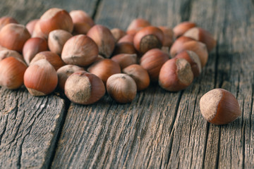 heap of hazelnuts