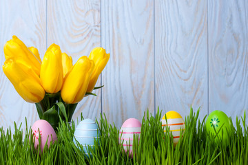 Easter composition with yellow tulips and colored eggs on the fresh grass on blue wooden background