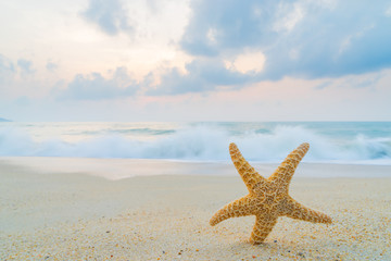 Fototapeta na wymiar starfish on the beach at sunrise