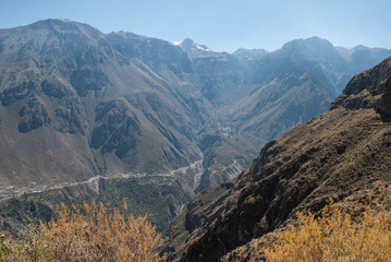Obraz premium Colca Canyon
