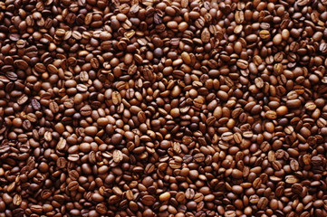 frischer Kaffee, Kaffeebohnen