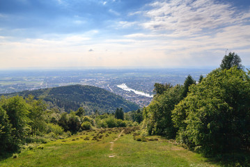 Fototapeta na wymiar Cityscape of the Heidelberg