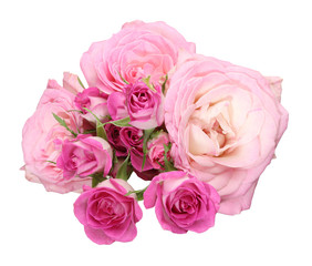 Naklejka premium 薔薇