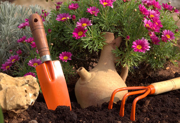 Flowers and gardening tools. Spring background.