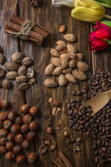 Миндаль, мускат, лесные орехи и кедровые орехи на темном фоне с тюльпанами