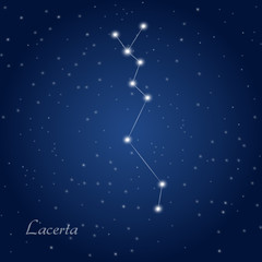 Obraz na płótnie Canvas Lacerta constellation at starry night sky