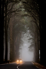 Fototapeta na wymiar Car drive through dark fog