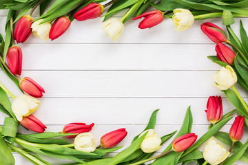 Red and white tulips on white wooden background with copy space. Top view