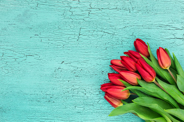 Red tulips bouquet on blue wooden background. Copy space 