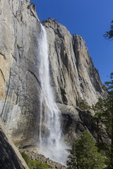 Fototapeta na wymiar Beauty of Yosemite