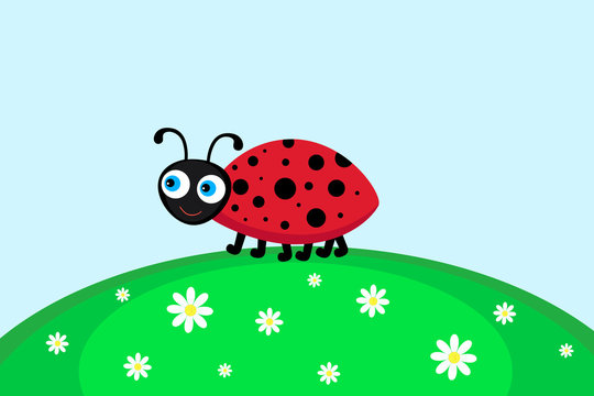 Vector illustration of ladybird, going for a walk on lawn