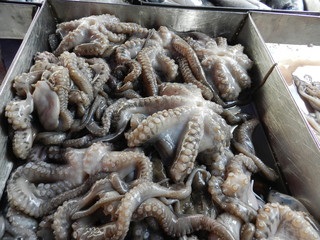 Осьминоги на прилавке