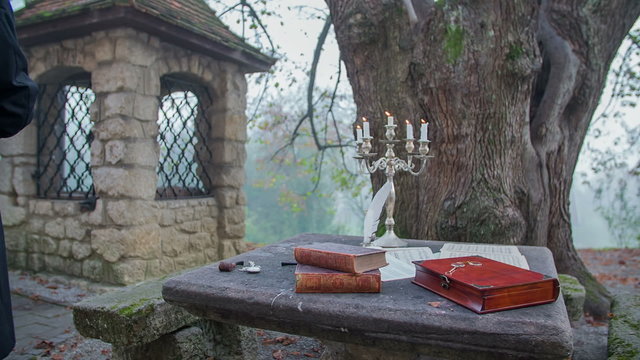 Romantic composer comes to seat at the garden table 