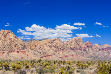 Red Rock Canyon panoramic, Mojave Desert, Nevada, USA