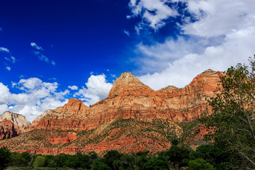 Zion National Park in Utah, USA.