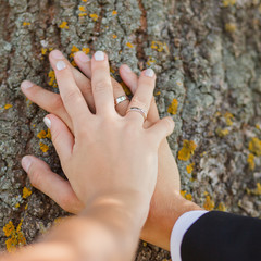 male and female hand with rings on wood background