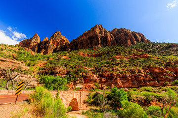 Scenic Zion Road. Zion National Park Interior Road. Utah, USA.