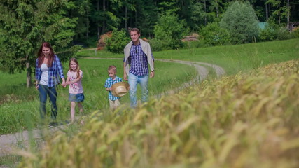Family is walking near the wheat field on sunny day