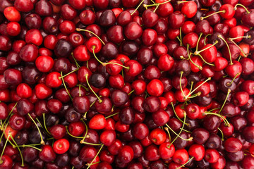 Red Cherries. Cherry selection