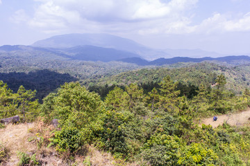 Fototapeta na wymiar mountain in doi inthanon, Chiangmai Thailand