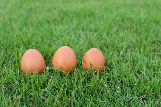 Easter, eggs on the grass