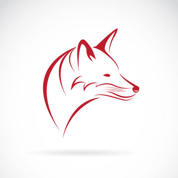 Vector image of an fox head on white background