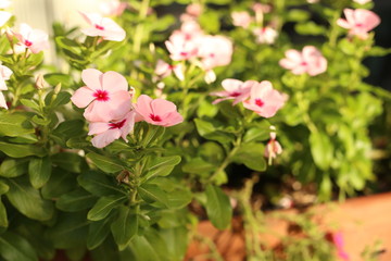 Flying, but this time, not me.