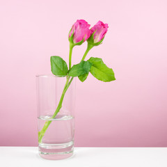 The beautiful roses flower with glass of water for Valentine' day.