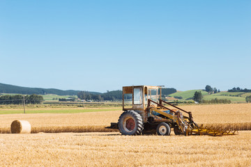 Fototapeta premium kombajn działa w polu pszenicy w letni dzień w nowej zelandii