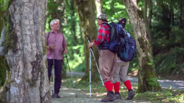 Four senior hikers are greeting each other in the nature