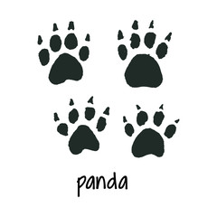 Fototapeta premium World wildlife day panda foot step