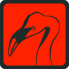 World wildlife day flaminggo