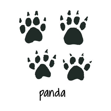 World wildlife day panda foot step