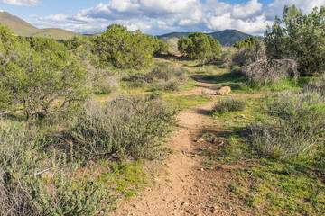 Hiking Path in Southern California