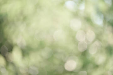 Obraz premium Green nature background