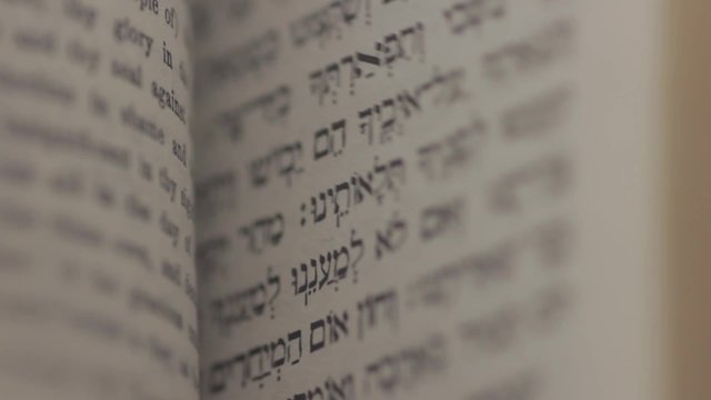 Torah Hebrew Flipping Pages