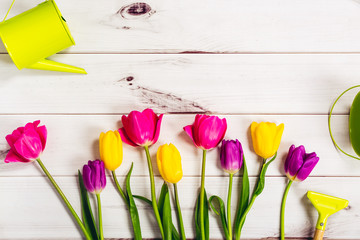 Coloring spring tulips on light wooden background.