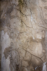 Old wall texture.