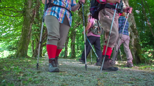 Four elderly hikers greet and pass each other in the nature
