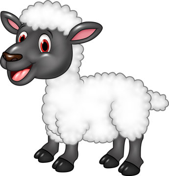 Cartoon funny sheep isolated on white background 