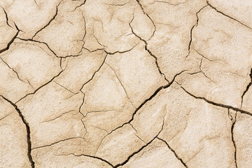 Mud Cracks close up in desert soil